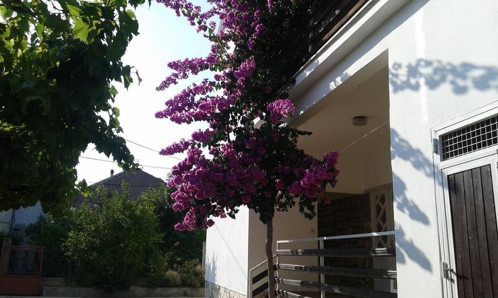 Apartment Anna زادار المظهر الخارجي الصورة